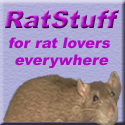 rat stuff for rat lovers everywhere